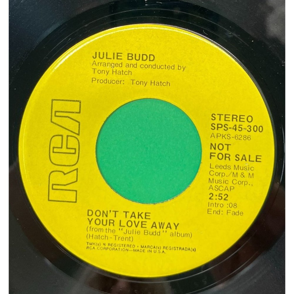 Julie Budd Don't Take Your Love Away 45 Pop Promo RCA 45-300